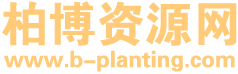 柏博资源网 - 安卓软件大全 - 手机游戏下载